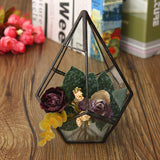 Succulent,Plant,Triangle,Greenhouse,Glass,Terrarium,Micro,Landscape,Glass,Bottle