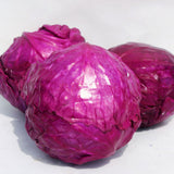 Egrow,Purple,Cabbage,Seeds,Organic,Seasons,Healthy,Vegetable,Plants