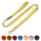 Double,Handle,Leash,Handle,Heavy,Padded,Reflective,Nylon,Traction