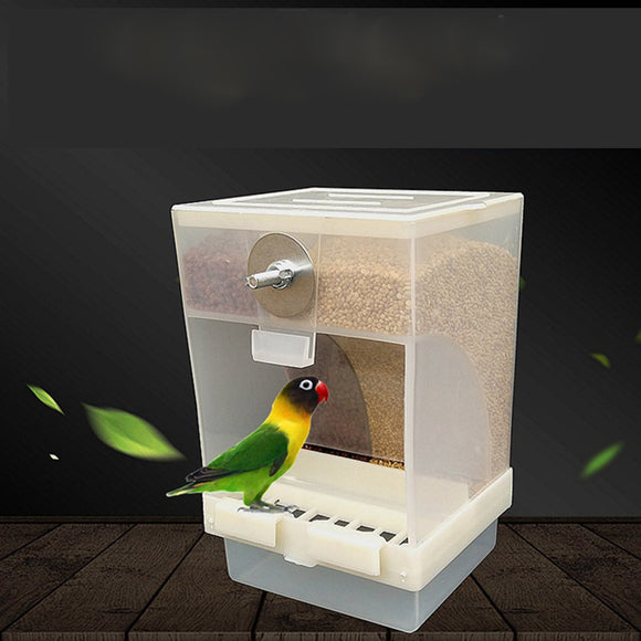 Capacity,Acrylic,Parrot,Integrated,Automatic,Feeder,Birds,Feeding,Birds,Accessories