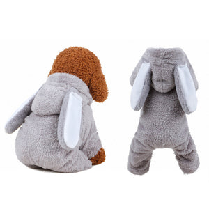 Winter,Animal,Costume,Puppy,Autumn,Winter,Coats