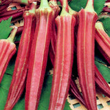Egrow,Seeds,Organic,Vegetable,Flores,Garden,Potted,Plants