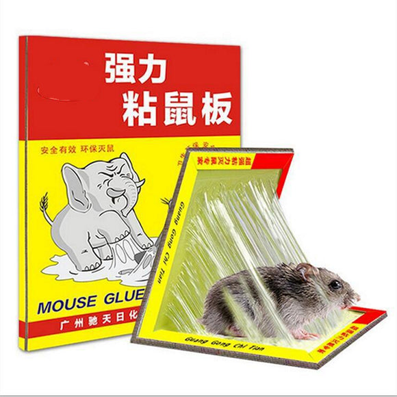 Mouse,Traps,Sticky,Super,Board,Rodents,Cockroaches,Spiders,Scorpions