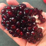 Egrow,Black,Pomegranate,Seeds,Garden,Delicious,Fruit,Bonsai,Seeds