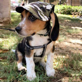 Summer,Print,Baseball,Small,Outdoor,Baseball,Grooming,Accessories