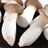 Egrow,Mushroom,Seeds,Garden,Planting,Edible,Pleurotus,Eryngii,Seeds,Vegetable,Seeds