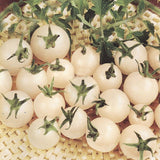 Egrow,White,Tomato,Seeds,Gardening,Plants,Tasty,Vegetable,Fruit,Seeds