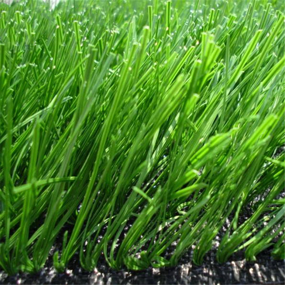 Egrow,Evergreen,Grass,Seeds,Evergreen,Grass,Semente,Plant,Evergreen,Garden,Grass