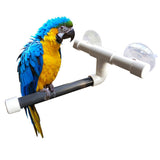 Perch,Parrot,Shower,Stand,Suction,Grinding,Shower,Shelf,Decorations