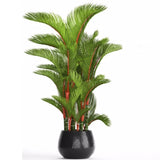 Egrow,Seeds,Madagascar,Cyrtostachys,Bonsai,Garden,Plant