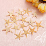 20Pcs,Starfish,Shell,Landscape,Beach,Wedding,Crafts,Making,Decorations