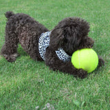 Giant,Puppy,Tennis,Thrower,Chucker,Launcher