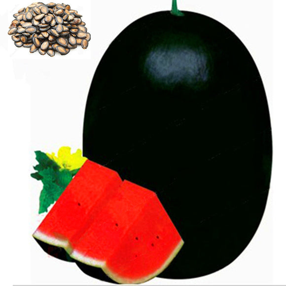 Egrow,Watermelon,Seeds,Giant,Black,Watermelon,Bonsai,Fruit,Plant,Sweet,Juicy,Water,Melon,Garden,Bonsai