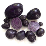 Egrow,Purple,Sweet,Potato,Seeds,Nutrition,Green,Vegetable,Bonsai,Plants