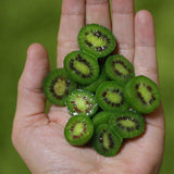 Egrow,Berry,Seeds,Miniature,Berry,Hardy,Actinidia,Arguta,Fruit,Seeds
