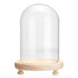 Clear,Glass,Display,Flower,Cloche,Wooden,Light,Decorations