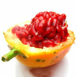 Egrow,Passion,Seeds,Tropical,Bonsai,Fruit,Garden,Plant