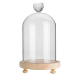 Clear,Glass,Display,Flower,Cloche,Wooden,Light,Decorations