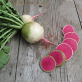 Egrow,Radish,Seeds,Garden,Kitchen,Vegetable,Plants,White,Radish,Seeds