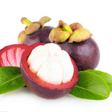 Egrow,Mangosteen,Seeds,Tropical,Sweet,Fruit,Seeds,Garden,Plants,Bonsai