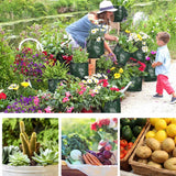 1500Pcs,Egrow,Varieties,Mixed,Fruit,Seeds,Organic,Fruit,Seeds,Sweet,Candied,Fruit,Indoor,Greenhouse,Planting