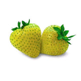 500Pcs,Yellow,Strawberry,Seeds,Garden,Seeds,Fruit,Seeds