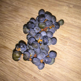 Egrow,Seeds,Trachycarpus,Fruit,Bonsai,Garden,Plant