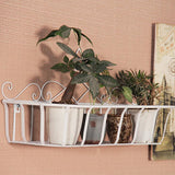 Flower,Stand,Small,Holder