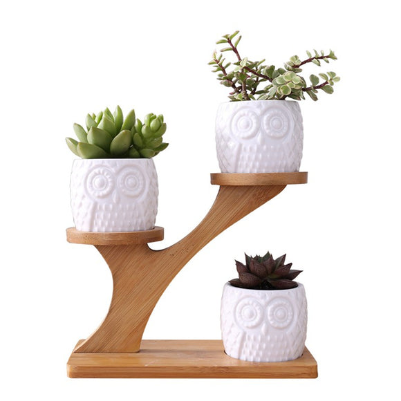 Succulent,Ceramic,Garden,Flower,Planter,Holder,Bamboo,Stand