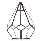 Succulent,Plant,Triangle,Greenhouse,Glass,Terrarium,Micro,Landscape,Glass,Bottle