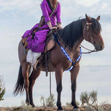 Outdoor,Luminous,Horse,Chest,Horse,Equestrian,Supplies