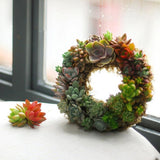 Gardening,Round,Hanging,Planter,Flower,Wreath,Succulent,Plant,Decorations