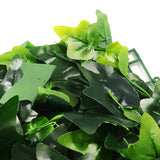 Green,Plant,Simulation,Plant,Decoration,Living,Interior,Background