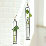 Large,Glass,Pendant,Living,Hanging,Green,Plant,Containers