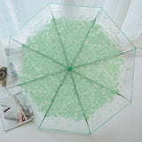 SaicleHome,Romantic,Cherry,Blossoms,Transparent,Umbrella,Folding,Umbrella