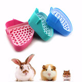 Corner,Toilet,Litter,Animal,Kitten,Rabbit,Hamster,Guinea,Toilet