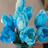 Egrow,10Pcs,Perennial,Perfume,Tulip,Mixed,Color,Tulip,Flower,Bonsai,Seeds,Outdoor,Planting