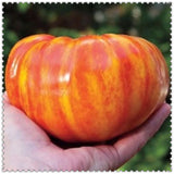 Egrow,Giant,Tomato,Seeds,Plants,Organic,Heirloom,Plants,Vegetables,Perennial,Plant,Garden,Planting
