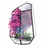 Glass,Geometric,Terrarium,Tabletop,Succulent,Plant,Planter