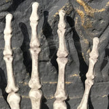 Skeleton,Skull,Mischievous,Halloween,Carnival,Accessory,Decorations