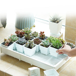 Plant,Succulents,Seedling,Drain,Balcony,Growing,Holder,Nursery,Garden,Decorations