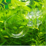 Shrimp,Aquatic,Plant,Crystal,Glass,Aquarium,Holder