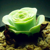 Egrow,Greenovia,Flowers,Seeds,Green,Mountain,Succulent,Plants,Bonsai