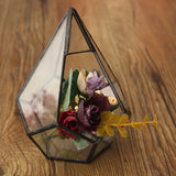 Succulent,Plant,Triangle,Greenhouse,Glass,Terrarium,Micro,Landscape,Glass,Bottle