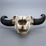 Halloween,Skull,Resin,Skull,Sculpture,Statue,Decorations,Horns,Mount