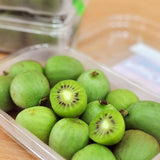Egrow,Berry,Seeds,Miniature,Berry,Hardy,Actinidia,Arguta,Fruit,Seeds