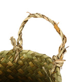 Seagrass,Woven,Storage,Wicker,Basket,Flower,Plants,Straw,Decoration