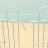 Pieces,Folding,Steel,Fence,Playpen,Guinea,Plastic,Buckle,Garden