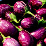 Egrow,Eggplant,Seeds,Eggplant,Bonsai,Outdoor,Vegetable,Plant,Garden