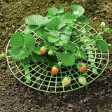 30*30CM,Strawberry,Growing,Support,Garden,Plant,Holder
